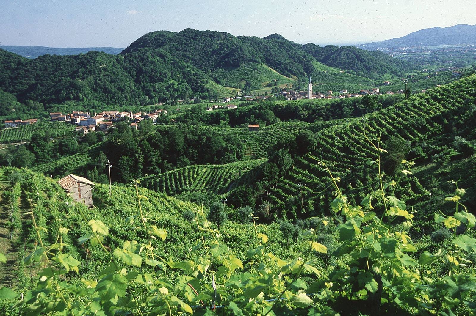 La Strada del Prosecco