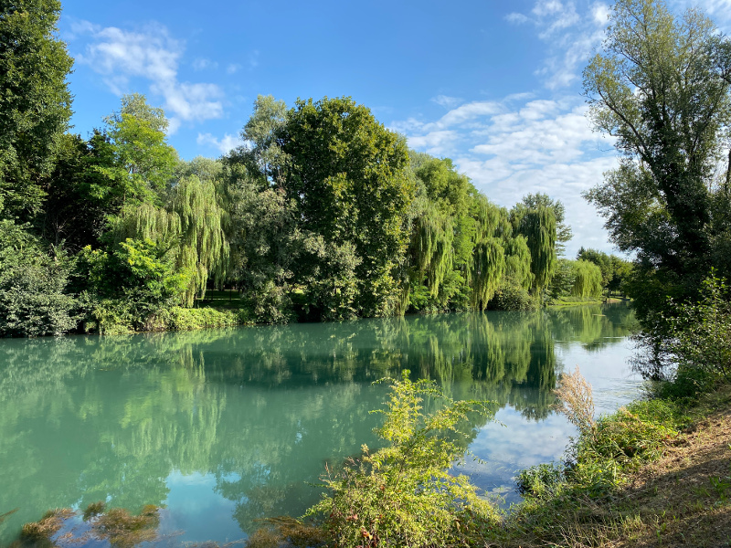 Biodiversità Trevigiana